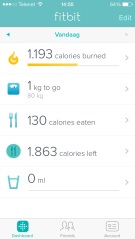 Fitbit_overview